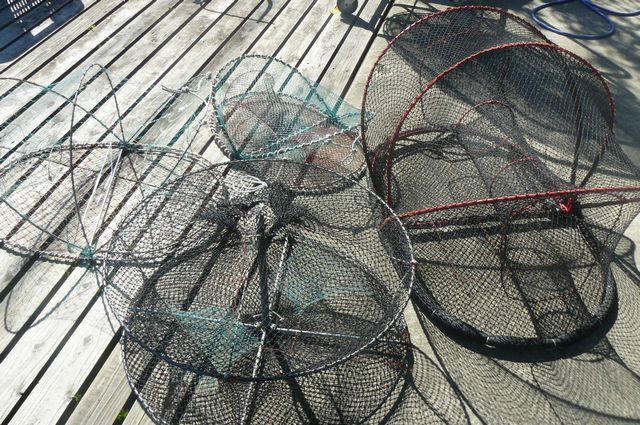 カニが大漁です カニカゴ 海の仕立て屋 浦田帆屋4代目日記 カニが大漁です カニカゴ 海の仕立て屋 浦田帆屋4代目日記