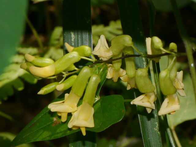 d0088184_2149305.jpg