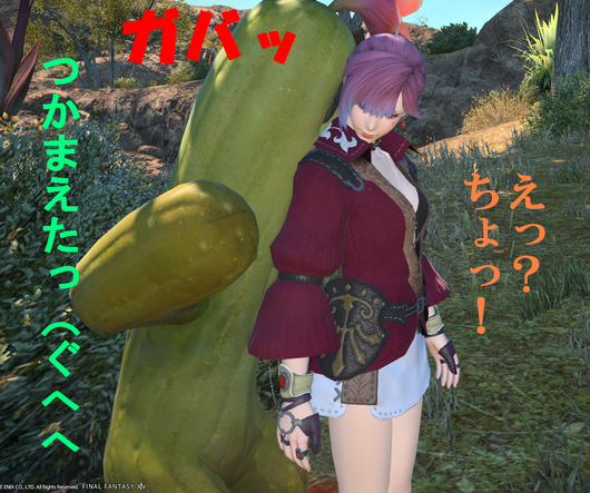 b0296791_2011478.png