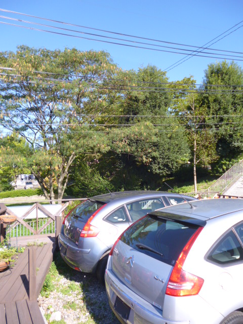 今日も清清しい 朝歩き_c0105691_953558.jpg