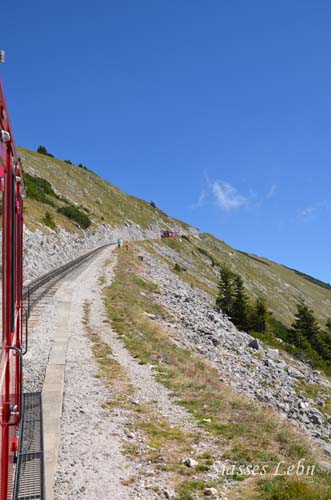 e0088895_0113110.jpg