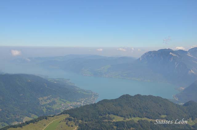 e0088895_032877.jpg