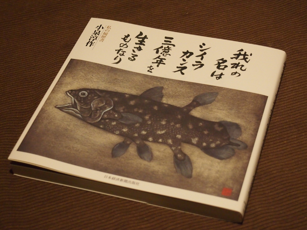 中札内美術村「小泉淳作美術館」でちょっとリフレッシュ・・_f0276498_8383898.jpg