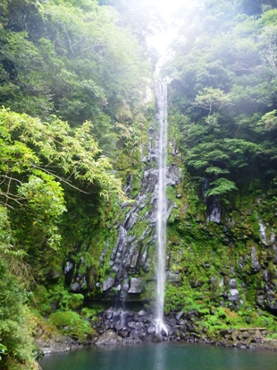 氷水で洗う美容師_e0077899_8571045.jpg