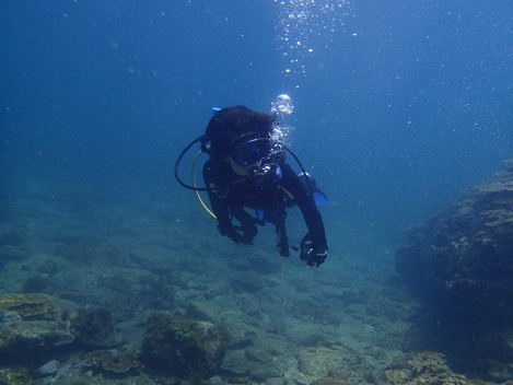 e0115199_20465762.jpg