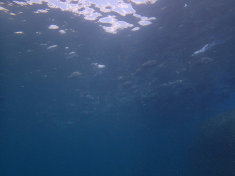 e0115199_2051359.jpg