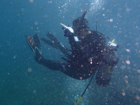 e0115199_20515851.jpg