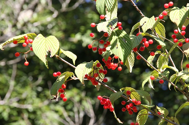 a0123003_2305151.jpg