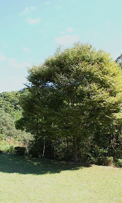 a0123003_2364611.jpg