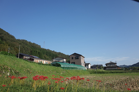 田の美 人の仕事と里景色_c0069903_10184220.jpg