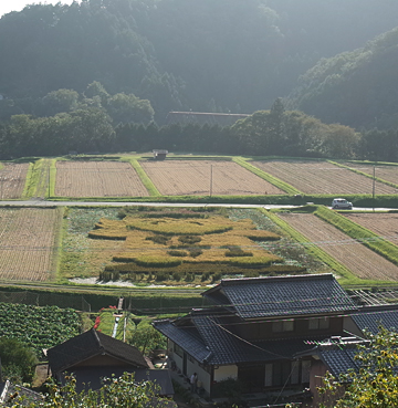 田の美 人の仕事と里景色_c0069903_1019156.jpg