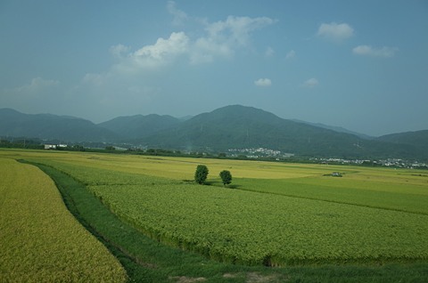 田の美 人の仕事と里景色_c0069903_10204622.jpg