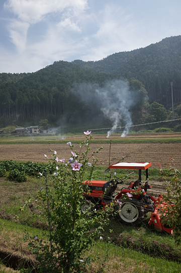 田の美 人の仕事と里景色_c0069903_12452483.jpg