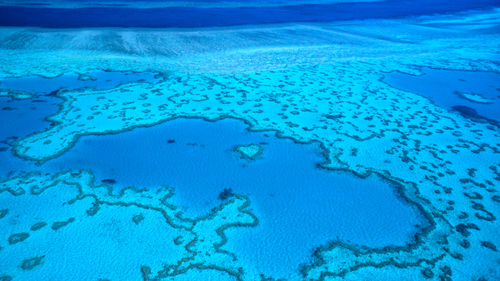 a0167204_213025.jpg