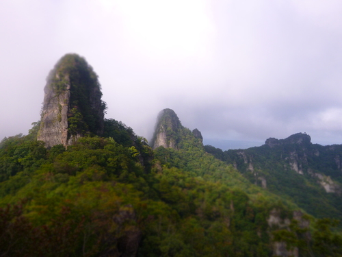 a0236914_821936.jpg