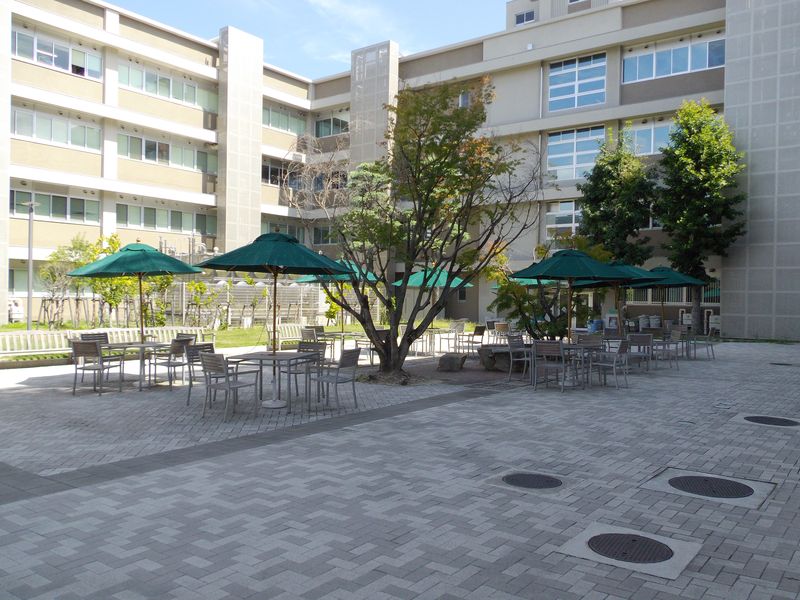 岡山大学3日目_c0025115_20131314.jpg