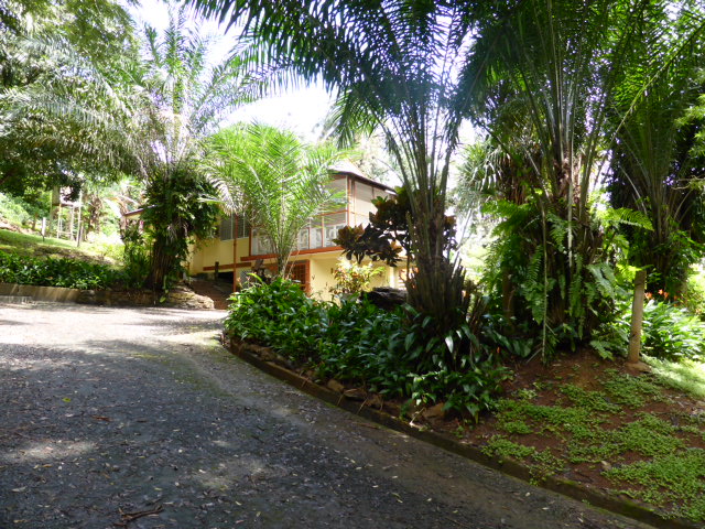 b0208620_1957125.jpg