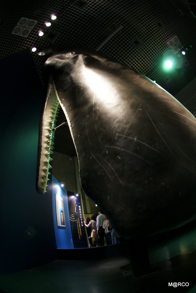 a0240721_0175775.jpg