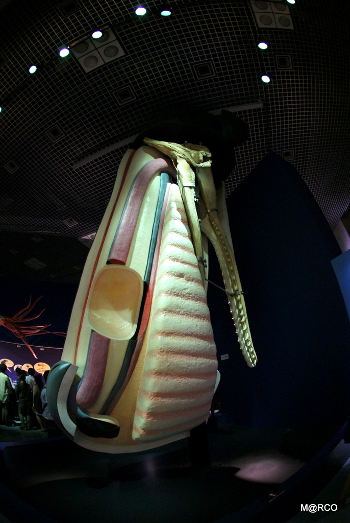 a0240721_0181040.jpg