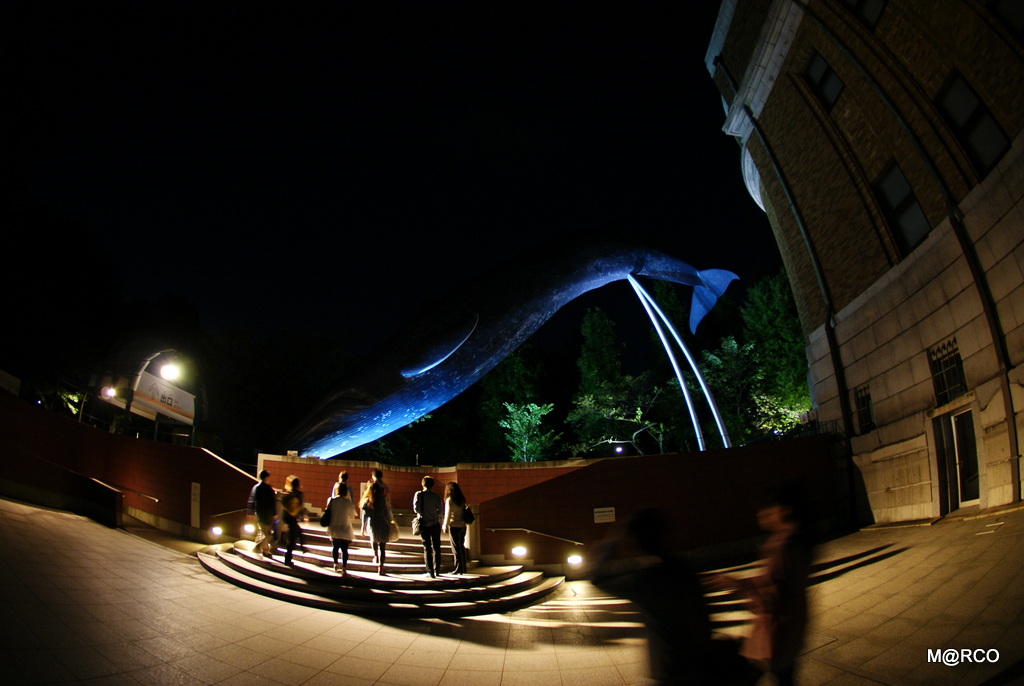 a0240721_0271277.jpg