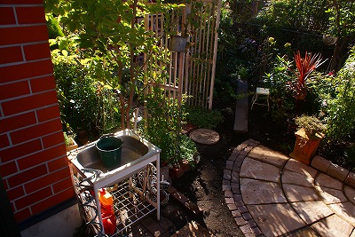 f0170524_8355791.jpg
