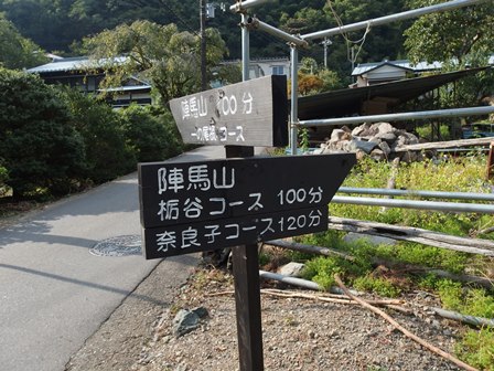 陣馬山　トレーニング登山！（その３　栃谷尾根コース）　2013.9.22_d0130927_14443349.jpg