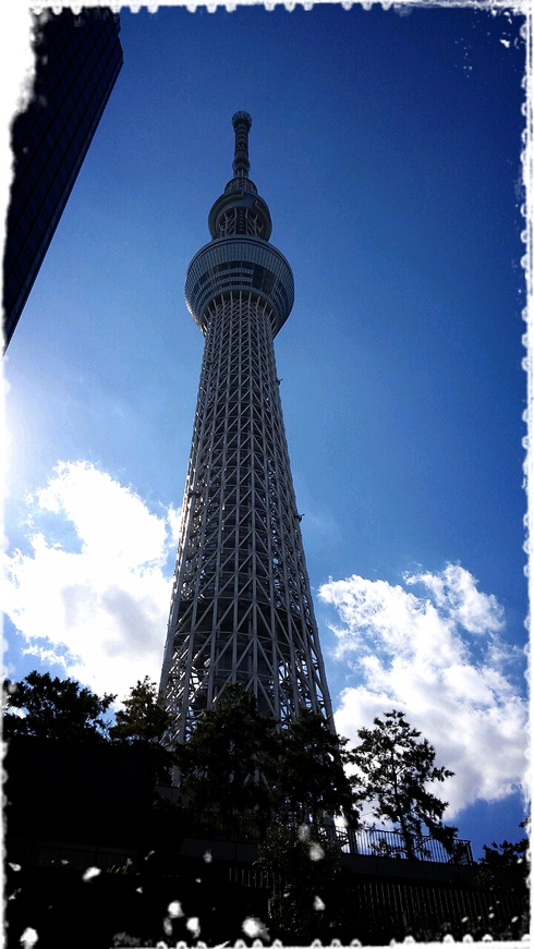 a0230831_1455045.jpg
