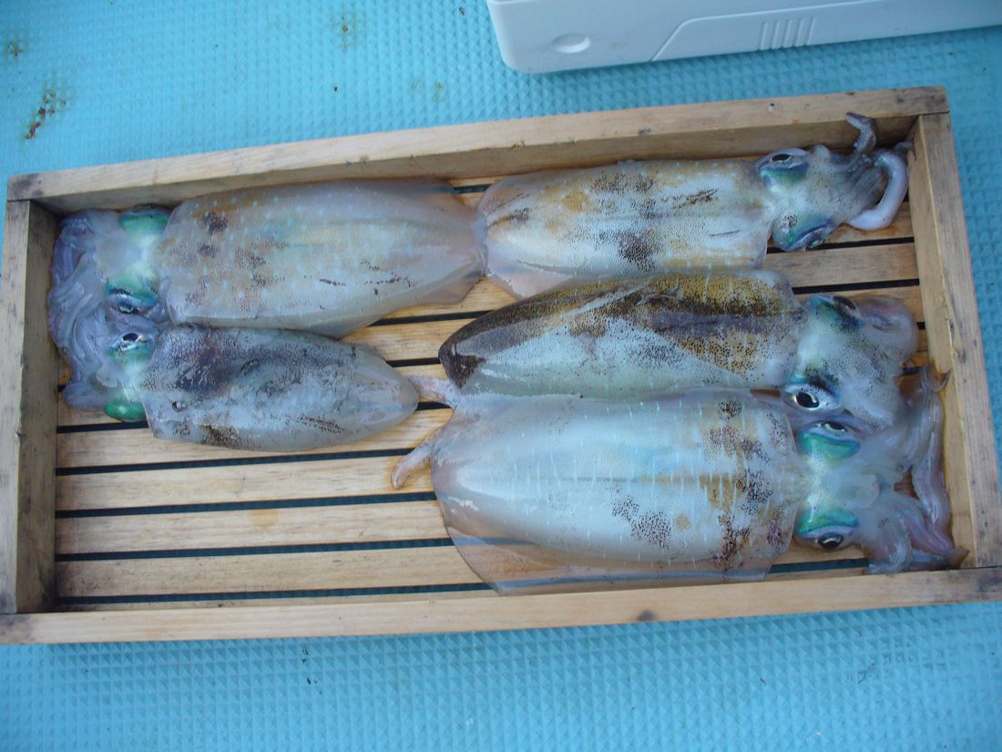 f0275632_225822.jpg