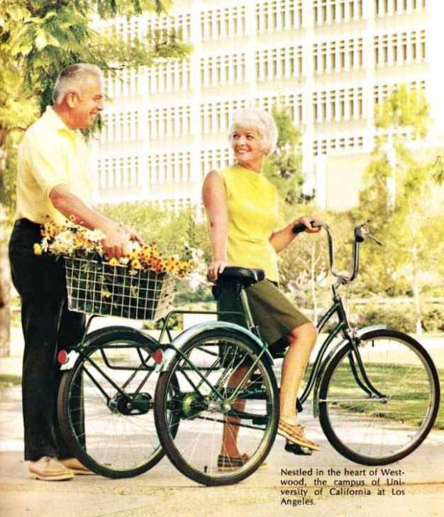 schwinn town & country