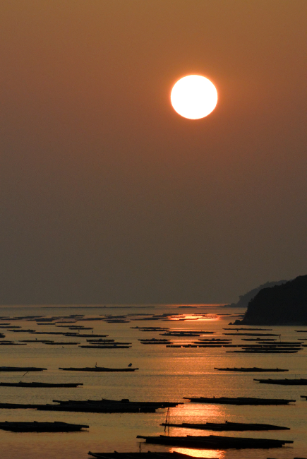 f0274536_18249.jpg