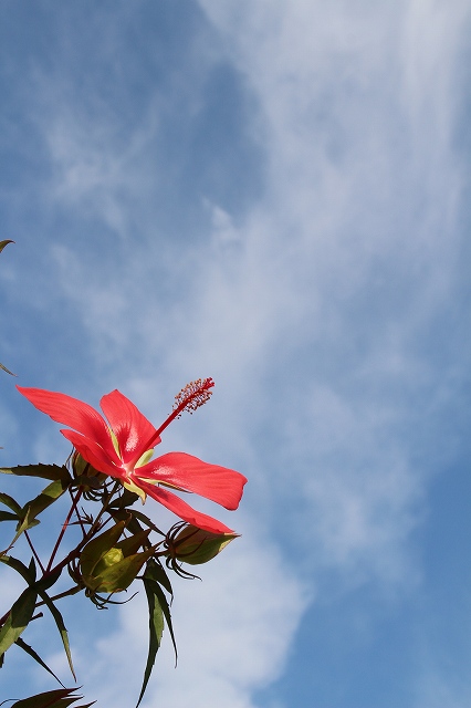 a0242438_21225855.jpg