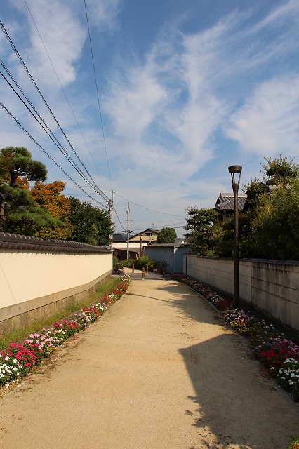 a0242438_2123369.jpg