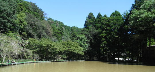 b0169939_14321528.jpg