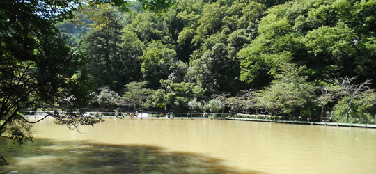 b0169939_14390100.jpg