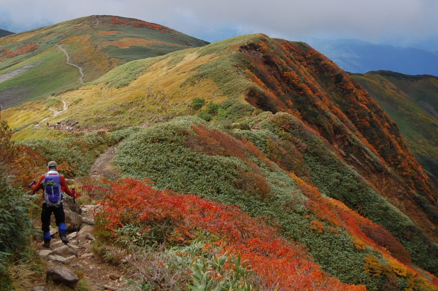 月山・・・オレンジ色でした。_b0189948_17503695.jpg