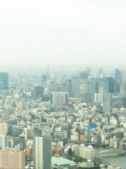 2012年　東京4日目。_d0322250_6523023.jpg