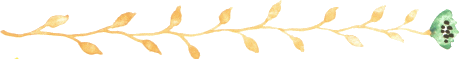 c0043751_4463290.gif
