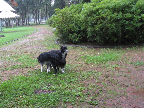 f0236653_13304.jpg
