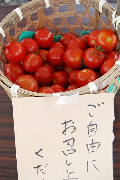 a0201358_13321565.jpg