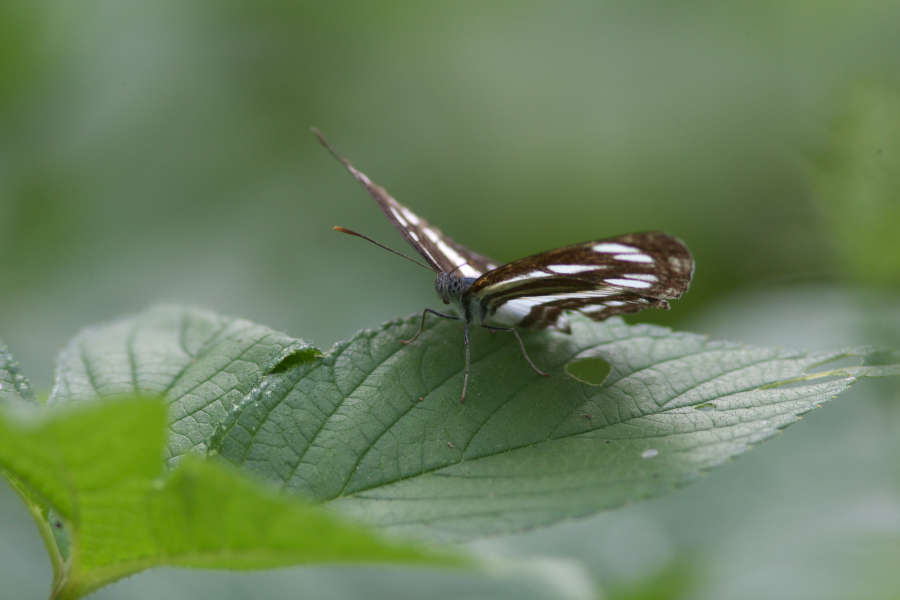 d0042959_17462456.jpg