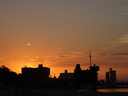 2014新春里海まつり第１回打ち合せ会　＆　せんなん里海公園の夕焼け_c0108460_225129100.jpg