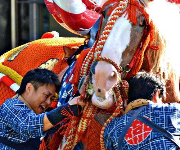 藤崎八幡宮秋の大祭_e0154463_22211059.jpg