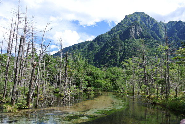 北アルプス蝶ケ岳２．６７７m）④下山（横尾から上高地バスターナル）_d0049066_1050954.jpg