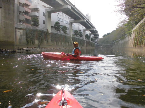 川沿いに早稲田通りまで_c0249569_12555246.jpg