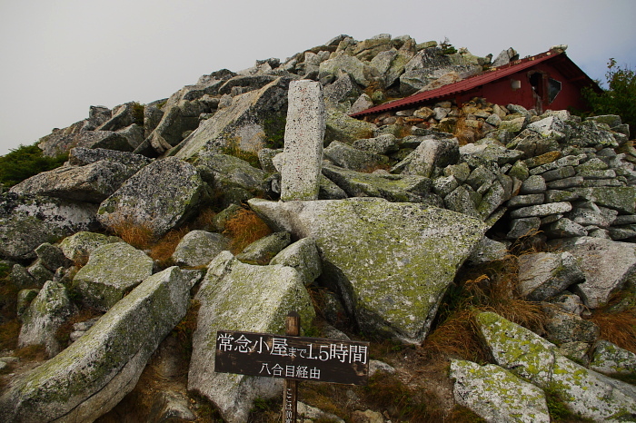 秋の北アルプス蝶ヶ岳から常念岳を歩く　Ⅲ_e0292469_1652676.jpg