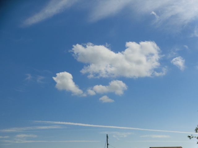 b0244372_2262311.jpg