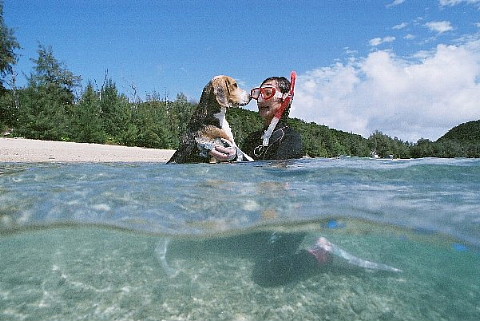 海の上を歩いて50年。_b0141773_23454375.jpg