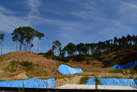 d0163073_20441286.jpg