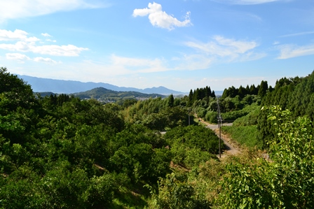 d0163073_20505918.jpg