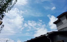 f0159480_19545064.jpg